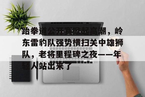 爱游戏体育-跆拳道公开赛掀起高潮，岭东雷豹队强势横扫关中雄狮队，老将里程碑之夜——年轻人站出来了的简单介绍