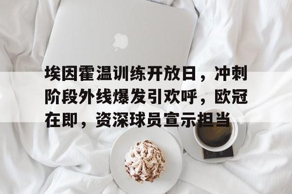 爱游戏APP-埃因霍温训练开放日，冲刺阶段外线爆发引欢呼，欧冠在即，资深球员宣示担当的简单介绍